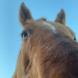 Meet your Posher, Taeya